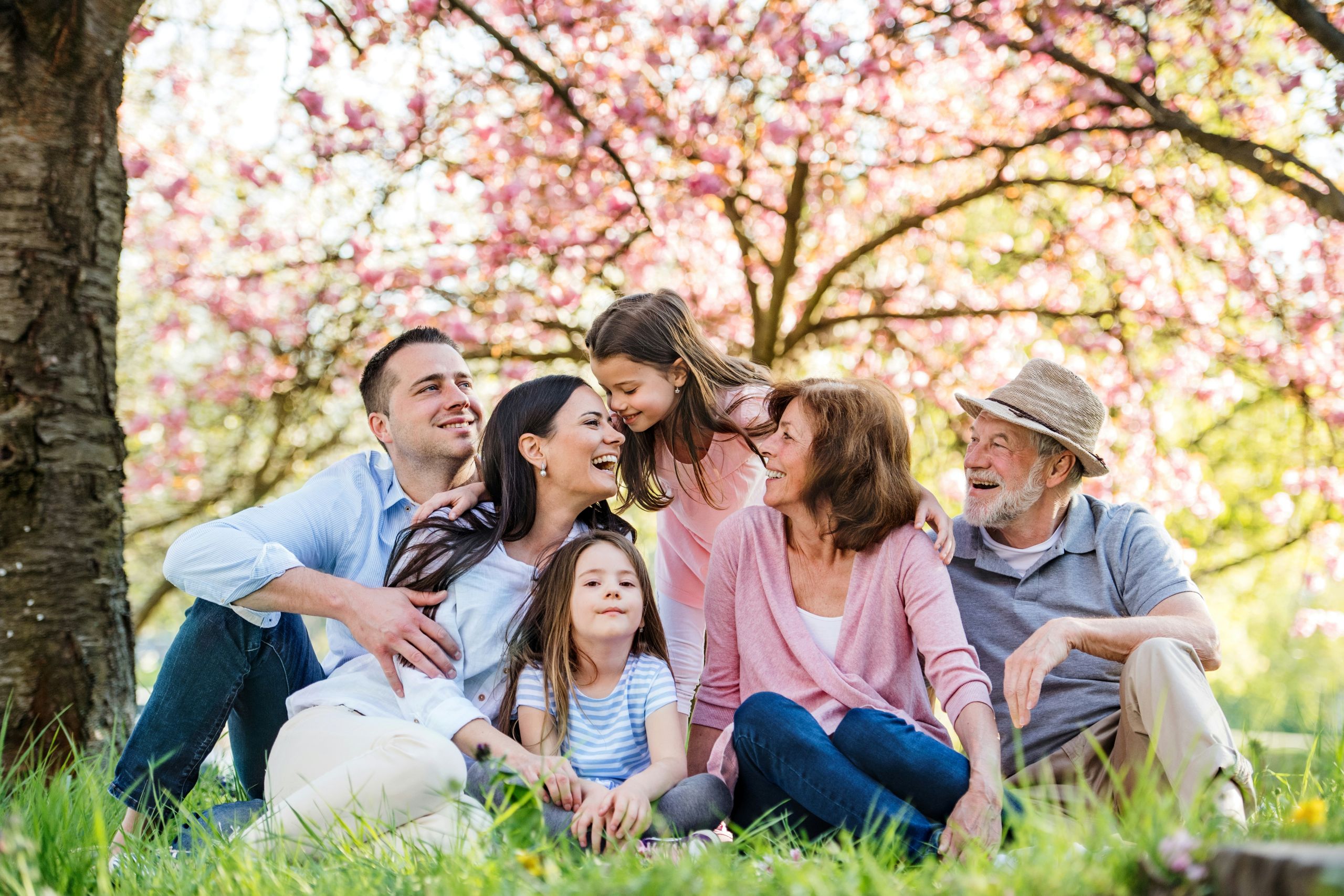 A multigenerational family sits together on grass under blossoming trees, smiling and laughing with a sense of trust and warmth. There are three adults, two children, and one older man wearing a hat. The scene is bright and cheerful.
